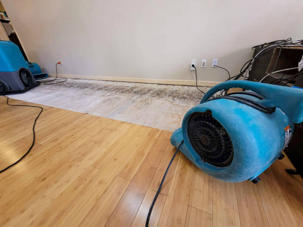 Professional Water Damage Repair technician working in Sylvania, AL